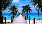 PaceParadise