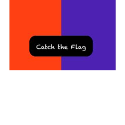 Catch The Flag!