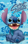 Stitch Stan’s #626!