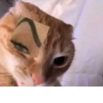 Slogget