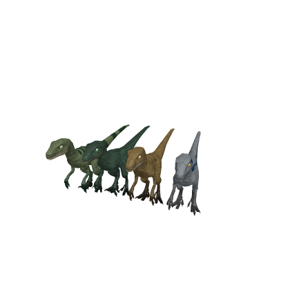 Dinosaur velocirraptor pack