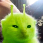 secret alien clan