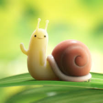 snail bois