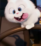 meerkat UGC