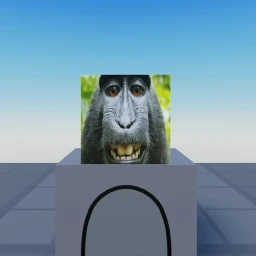 Tag Game - BEACH AND LEADERBOARD UPDATE [VR] icon