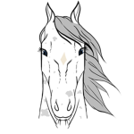 .•+ Silent Waterfall Stables +•.