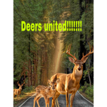 Deers united!!!!!!!