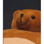 Lester's Bear Clothing