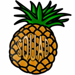 Pineapple squardddd
