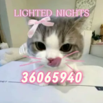 The Legacy Of Lighted Nights