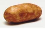 Teh potato fam
