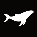 Whale Tank