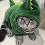 dinosaurs, UNIT!