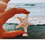 -maui-