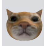 The Official Cat Band