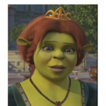 The Fiona squad