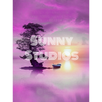 sunnny studios