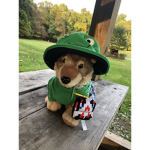 Mascot rdmoney