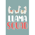 Llamas R Us