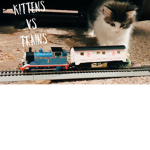 Thomas trains kittens