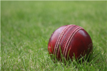 Cricket Lovers