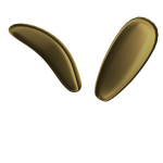 Golden Bunny Ears