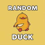 Random Duck Studio