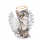Halo Kittie