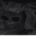 if u love cats join<3