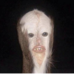 I farded123