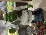 MAN_CHAD