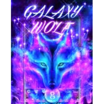 Galaxy Flyers