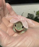 FROGS RULE FOREVER AND FOREVER