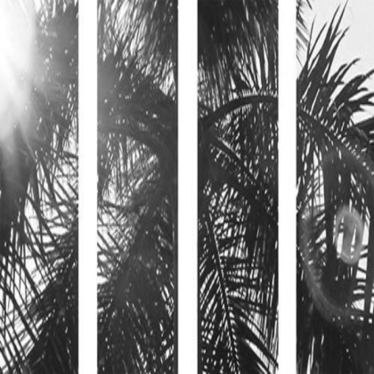 black & white aesthetic Roblox decal
