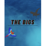 The Bigs group