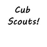 Cub Scouts!