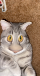 mikxy