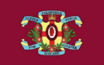 Ulster Volunteer's