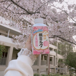 teiFee