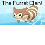 The Furret Clan