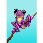 Frog and toad kingdom
