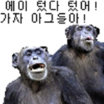 로벅스10204