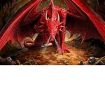[T D K] ||The Dragon Kingdom|| {Trial By Knight Ho