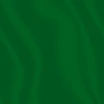 ‘MEDINA’ Company, 3/34th Mechanized Brigade