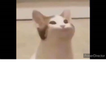 da hood pop cats