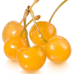 Orange Cherry Corp