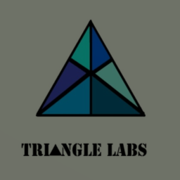 PROJECT TRIANGLE