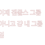 겜돌스tv의 그룹