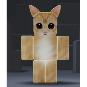 AFK TILL I GET DONATED