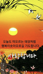 루피센tv